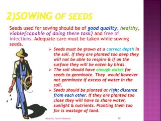 Seeds used for sowing should be of good quality, healthy,
viable{capable of doing there task} and free of
infections. Adequate care must be taken while sowing
seeds.
 Seeds must be grown at a correct depth in
the soil. If they are planted too deep they
will not be able to respire & if on the
surface they will be eaten by birds.
 The soil should have enough water for
seeds to germinate. They would however
not germinate if excess of water in the
soil.
 Seeds should be planted at right distance
from each other. If they are planted too
close they will have to share water,
sunlight & nutrients. Planting them too
far is wastage of land.
Made by- Sachin Motwani 10
 