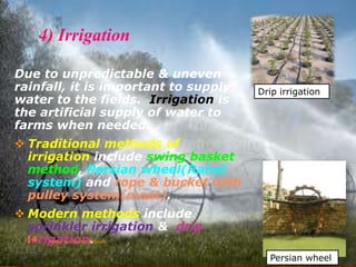 4) Irrigation
Due to unpredictable & uneven
rainfall, it is important to supply
water to the fields. Irrigation is
the artificial supply of water to
farms when needed.
 Traditional methods of
irrigation include swing basket
method, Persian wheel(Rahat
system) and rope & bucket with
pulley system(moat).
 Modern methods include
sprinkler irrigation & drip
irrigation.
Drip irrigation
Persian wheel
Made by- Sachin Motwani14
 