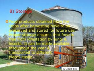 8) Storage
Food products obtained from the
crops after harvesting have to be
preserved and stored for future use.
Proper storage ensures that food is
free from infestation by fungi &
insects. It can be made available
throughout the year &
transported to different
places easily.
A Grain silo
Made by- Sachin Motwani18
 