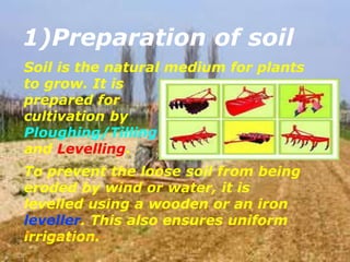 1)Preparation of soil
Soil is the natural medium for plants
to grow. It is
prepared for
cultivation by
Ploughing/Tilling
and Levelling.
To prevent the loose soil from being
eroded by wind or water, it is
levelled using a wooden or an iron
leveller. This also ensures uniform
irrigation.Made by- Sachin Motwani9
 