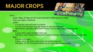  Millets
 Jowar, Bajra & Ragi are the most important millets grown in India
 They are highly nutritional.
 Jowar :
▪ It is rain-fed crops and need no irrigation.
▪ It is third most important crop with respect to area and production
▪ Maharashtra, Karnataka, MP & Andra Pradesh are the major Jowar producing areas.
 Bajra :
▪ It grows well in sandy & shallow black soil.
▪ Rajasthan, Uttar Pradesh, Maharashtra, Gujarat & Haryana are the major bajra producing states.
 Ragi :
▪ It’s crop of dry region
▪ It grows well in red, black, sand, loamy and shallow black soil.
▪ Karnataka, TN, HP, Arunachal Pradesh are the major ragi producing states.
 
