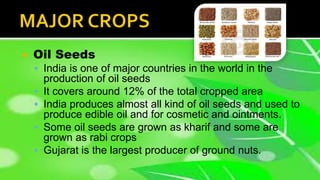  Oil Seeds
 India is one of major countries in the world in the
production of oil seeds
 It covers around 12% of the total cropped area
 India produces almost all kind of oil seeds and used to
produce edible oil and for cosmetic and ointments.
 Some oil seeds are grown as kharif and some are
grown as rabi crops
 Gujarat is the largest producer of ground nuts.
 