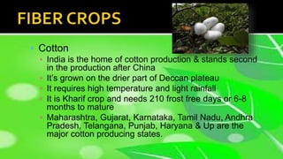 Agriculture ppt PPT Agriculture ppt PPT