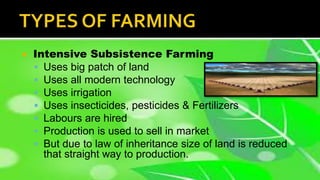  Intensive Subsistence Farming
 Uses big patch of land
 Uses all modern technology
 Uses irrigation
 Uses insecticides, pesticides & Fertilizers
 Labours are hired
 Production is used to sell in market
 But due to law of inheritance size of land is reduced
that straight way to production.
 