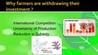  International Competition
 Uncertainty of Production
 Reduction in Subsidy
 