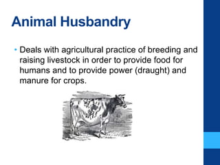 Animal Husbandry
• Deals with agricultural practice of breeding and
raising livestock in order to provide food for
humans and to provide power (draught) and
manure for crops.
 