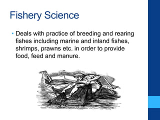 Fishery Science
• Deals with practice of breeding and rearing
fishes including marine and inland fishes,
shrimps, prawns etc. in order to provide
food, feed and manure.
 