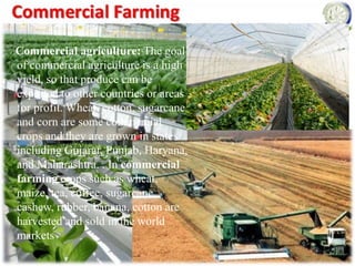 Commercial agriculture: The goal
of commercial agriculture is a high
yield, so that produce can be
exported to other countries or areas
for profit. Wheat, cotton, sugarcane,
and corn are some commercial
crops and they are grown in states
including Gujarat, Punjab, Haryana,
and Maharashtra. . In commercial
farming crops such as wheat,
maize, tea, coffee, sugarcane,
cashew, rubber, banana, cotton are
harvested and sold in the world
markets
 