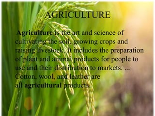 AGRICULTURE
Agriculture is the art and science of
cultivating the soil, growing crops and
raising livestock. It includes the preparation
of plant and animal products for people to
use and their distribution to markets. ...
Cotton, wool, and leather are
all agricultural products.
 
