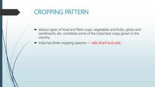 CROPPING PATTERN
 Various types of food and fibre crops, vegetables and fruits, spices and
condiments, etc. constitute some of the important crops grown in the
country.
 India has three cropping seasons — rabi, kharif and zaid.
 