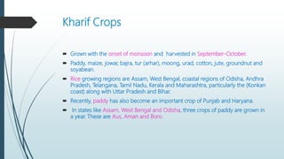 Kharif Crops
 Grown with the onset of monsoon and harvested in September-October.
 Paddy, maize, jowar, bajra, tur (arhar), moong, urad, cotton, jute, groundnut and
soyabean.
 Rice growing regions are Assam, West Bengal, coastal regions of Odisha, Andhra
Pradesh, Telangana, Tamil Nadu, Kerala and Maharashtra, particularly the (Konkan
coast) along with Uttar Pradesh and Bihar.
 Recently, paddy has also become an important crop of Punjab and Haryana.
 In states like Assam, West Bengal and Odisha, three crops of paddy are grown in
a year. These are Aus, Aman and Boro.
 