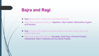 Bajra and Ragi
 Bajra grows well on sandy soils and shallow black soil.
 Major Bajra producing States are Rajasthan, Uttar Pradesh, Maharashtra, Gujarat
and Haryana.
 Ragi is a crop of dry regions and grows well on red, black, sandy, loamy and
shallow black soils.
 Major ragi producing states are: Karnataka, Tamil Nadu, Himachal Pradesh,
Uttarakhand, Sikkim, Jharkhand and Arunachal Pradesh.
 