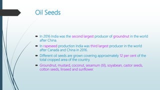 Oil Seeds
 In 2016 India was the second largest producer of groundnut in the world
after China.
 In rapeseed production India was third largest producer in the world
after Canada and China in 2016.
 Different oil seeds are grown covering approximately 12 per cent of the
total cropped area of the country.
 Groundnut, mustard, coconut, sesamum (til), soyabean, castor seeds,
cotton seeds, linseed and sunflower.
 