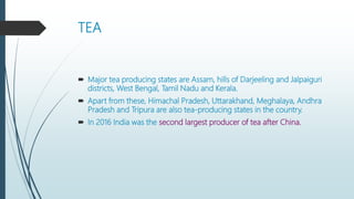TEA
 Major tea producing states are Assam, hills of Darjeeling and Jalpaiguri
districts, West Bengal, Tamil Nadu and Kerala.
 Apart from these, Himachal Pradesh, Uttarakhand, Meghalaya, Andhra
Pradesh and Tripura are also tea-producing states in the country.
 In 2016 India was the second largest producer of tea after China.
 