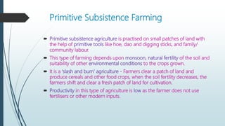 Primitive Subsistence Farming
 Primitive subsistence agriculture is practised on small patches of land with
the help of primitive tools like hoe, dao and digging sticks, and family/
community labour.
 This type of farming depends upon monsoon, natural fertility of the soil and
suitability of other environmental conditions to the crops grown.
 It is a ‘slash and burn’ agriculture - Farmers clear a patch of land and
produce cereals and other food crops, when the soil fertility decreases, the
farmers shift and clear a fresh patch of land for cultivation.
 Productivity in this type of agriculture is low as the farmer does not use
fertilisers or other modern inputs.
 