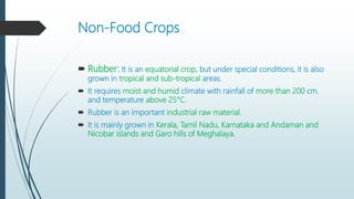Non-Food Crops
 Rubber: It is an equatorial crop, but under special conditions, it is also
grown in tropical and sub-tropical areas.
 It requires moist and humid climate with rainfall of more than 200 cm.
and temperature above 25°C.
 Rubber is an important industrial raw material.
 It is mainly grown in Kerala, Tamil Nadu, Karnataka and Andaman and
Nicobar islands and Garo hills of Meghalaya.
 