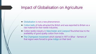 Impact of Globalisation on Agriculture
 Globalisation is not a new phenomenon.
 Cotton belts of India attracted the British and was exported to Britain as a
raw material for their textile industries.
 Cotton textile industry in Manchester and Liverpool flourished due to the
availability of good quality cotton from India.
 The Champaran movement which started in 1917 in Bihar - farmers of
that region were forced to grow indigo on their land.
 