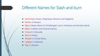 Different Names for Slash and burn
 Jhumming in Assam, Meghalaya, Mizoram and Nagaland;
 Pamlou in Manipur,
 Dipa in Bastar district of Chhattishgarh, and in Andaman and Nicobar Islands.
 Milpa’ in Mexico and Central America,
 ‘Conuco’ in Venzuela,
 ‘Roca’ in Brazil,
 ‘Masole’ in Central Africa,
 ‘Ladang’ in Indonesia,
 ‘Ray’ in Vietnam.
 