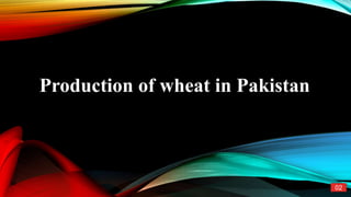 Production of wheat in Pakistan
02
 