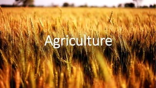 Agriculture
 
