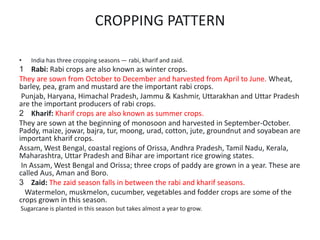 CROPPING PATTERN
• India has three cropping seasons — rabi, kharif and zaid.
1 Rabi: Rabi crops are also known as winter crops.
They are sown from October to December and harvested from April to June. Wheat,
barley, pea, gram and mustard are the important rabi crops.
Punjab, Haryana, Himachal Pradesh, Jammu & Kashmir, Uttarakhan and Uttar Pradesh
are the important producers of rabi crops.
2 Kharif: Kharif crops are also known as summer crops.
They are sown at the beginning of monosoon and harvested in September-October.
Paddy, maize, jowar, bajra, tur, moong, urad, cotton, jute, groundnut and soyabean are
important kharif crops.
Assam, West Bengal, coastal regions of Orissa, Andhra Pradesh, Tamil Nadu, Kerala,
Maharashtra, Uttar Pradesh and Bihar are important rice growing states.
In Assam, West Bengal and Orissa; three crops of paddy are grown in a year. These are
called Aus, Aman and Boro.
3 Zaid: The zaid season falls in between the rabi and kharif seasons.
Watermelon, muskmelon, cucumber, vegetables and fodder crops are some of the
crops grown in this season.
Sugarcane is planted in this season but takes almost a year to grow.
 