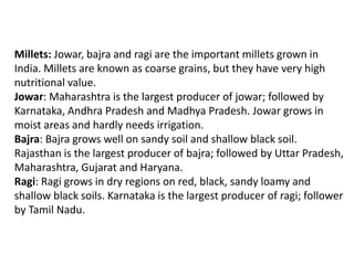 Millets: Jowar, bajra and ragi are the important millets grown in
India. Millets are known as coarse grains, but they have very high
nutritional value.
Jowar: Maharashtra is the largest producer of jowar; followed by
Karnataka, Andhra Pradesh and Madhya Pradesh. Jowar grows in
moist areas and hardly needs irrigation.
Bajra: Bajra grows well on sandy soil and shallow black soil.
Rajasthan is the largest producer of bajra; followed by Uttar Pradesh,
Maharashtra, Gujarat and Haryana.
Ragi: Ragi grows in dry regions on red, black, sandy loamy and
shallow black soils. Karnataka is the largest producer of ragi; follower
by Tamil Nadu.
 