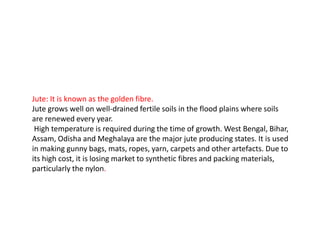 Jute: It is known as the golden fibre.
Jute grows well on well-drained fertile soils in the flood plains where soils
are renewed every year.
High temperature is required during the time of growth. West Bengal, Bihar,
Assam, Odisha and Meghalaya are the major jute producing states. It is used
in making gunny bags, mats, ropes, yarn, carpets and other artefacts. Due to
its high cost, it is losing market to synthetic fibres and packing materials,
particularly the nylon.
 