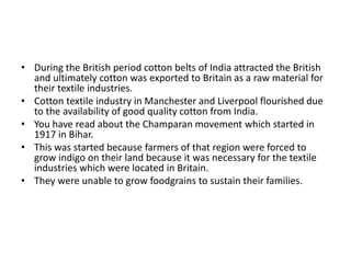 • During the British period cotton belts of India attracted the British
and ultimately cotton was exported to Britain as a raw material for
their textile industries.
• Cotton textile industry in Manchester and Liverpool flourished due
to the availability of good quality cotton from India.
• You have read about the Champaran movement which started in
1917 in Bihar.
• This was started because farmers of that region were forced to
grow indigo on their land because it was necessary for the textile
industries which were located in Britain.
• They were unable to grow foodgrains to sustain their families.
 