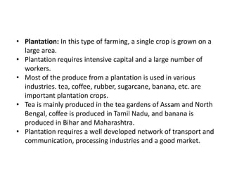 • Plantation: In this type of farming, a single crop is grown on a
large area.
• Plantation requires intensive capital and a large number of
workers.
• Most of the produce from a plantation is used in various
industries. tea, coffee, rubber, sugarcane, banana, etc. are
important plantation crops.
• Tea is mainly produced in the tea gardens of Assam and North
Bengal, coffee is produced in Tamil Nadu, and banana is
produced in Bihar and Maharashtra.
• Plantation requires a well developed network of transport and
communication, processing industries and a good market.
 