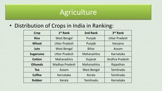 Agriculture.pptx