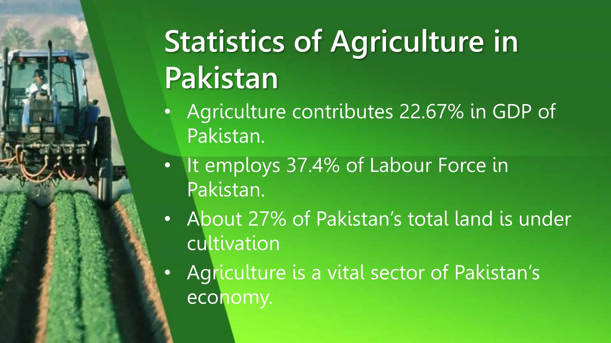 Agriculture Sector of Pakistan | PPTX