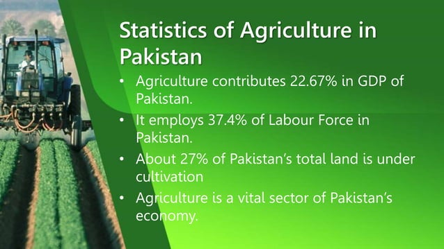 Agriculture Sector of Pakistan | PPT
