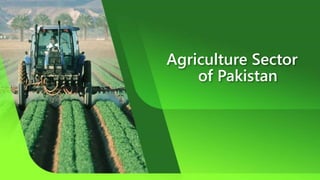 Agriculture Sector
of Pakistan
 