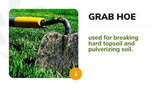 BRANCHES OF AGRICULTURE AND DIFFERENT HORTICULTURE TOOLS AND EQUIPMENT ...