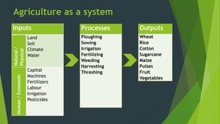 Agriculture pakistan studies powerpont igcse.pdf