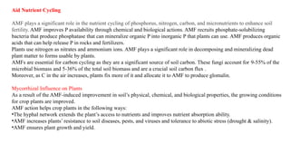 Agriculture.PPTX Scope of Microbial Biotechnology | PPTX