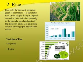 Agriculture | PPTX