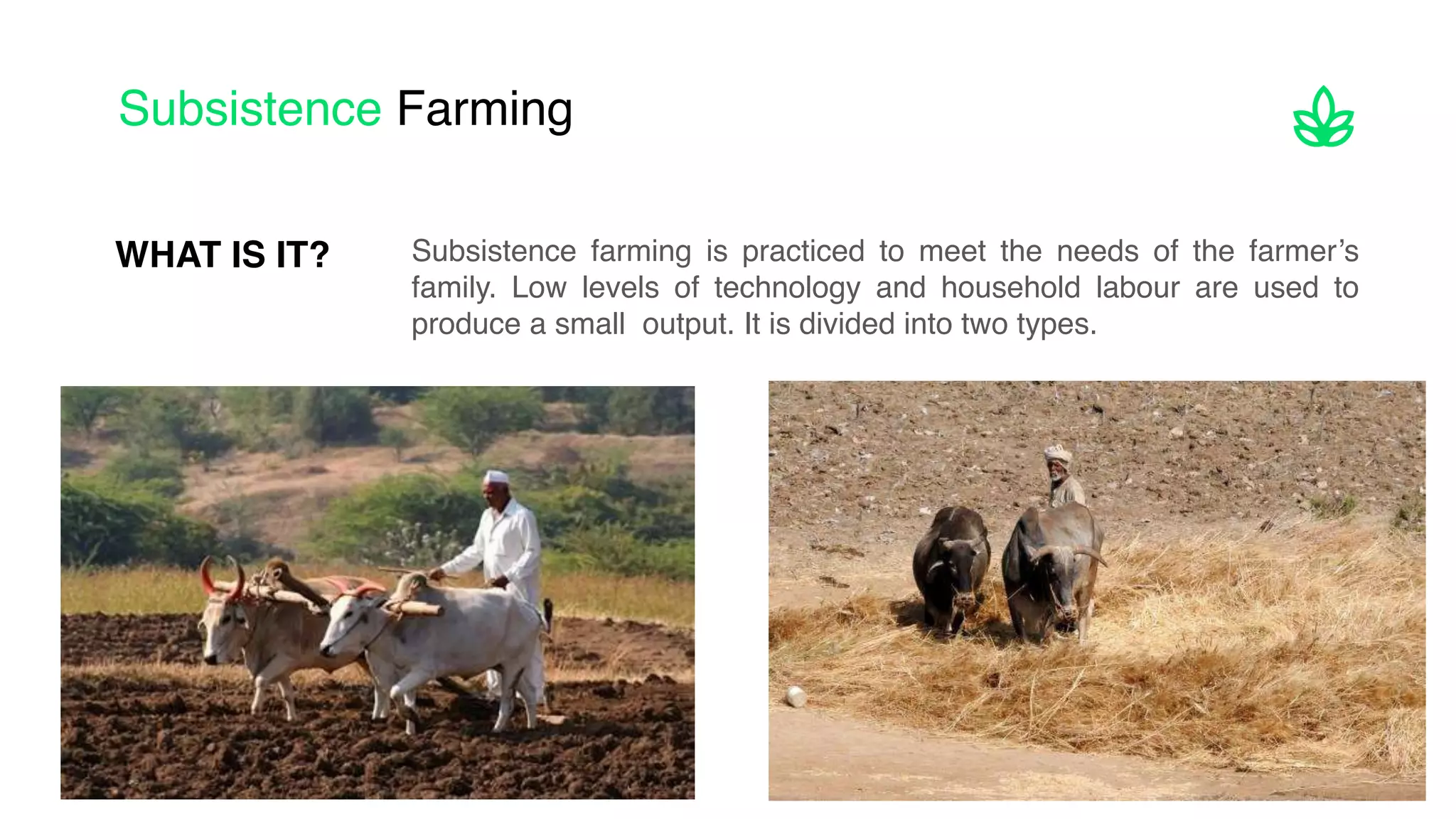 Subsistence Farming
Subsistence farming is practiced to meet the needs of the farmer’s
family. Low levels of technology and household labour are used to
produce a small output. It is divided into two types.
WHAT IS IT?
 