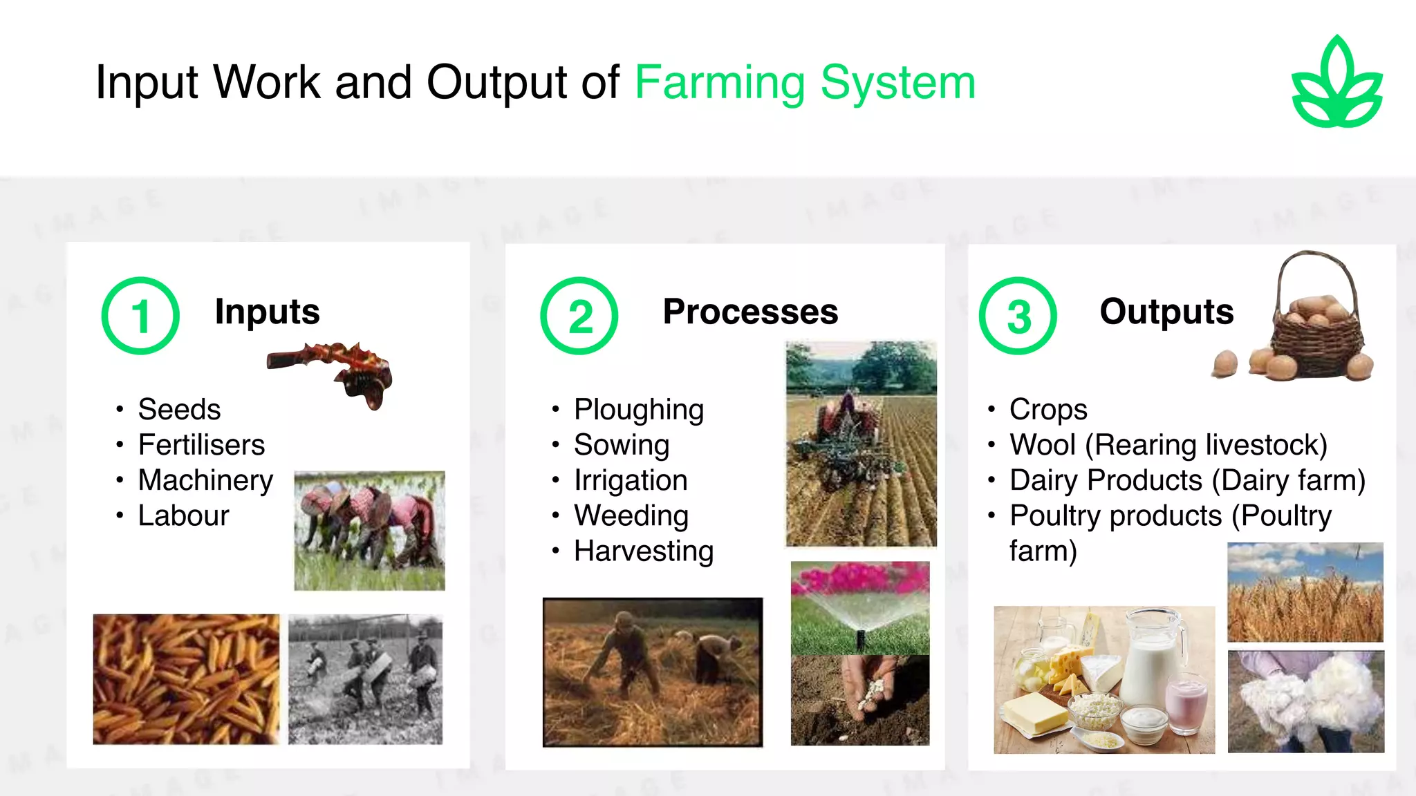 Input Work and Output of Farming System
Inputs
• Seed
s

• Fertiliser
s

• Machiner
y

• Labour
1 Processes
• Ploughin
g

• Sowin
g

• Irrigatio
n

• Weedin
g

• Harvesting
2 Outputs
• Crop
s

• Wool (Rearing livestock
)

• Dairy Products (Dairy farm
)

• Poultry products (Poultry
farm)
3
 