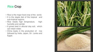 Agriculture | Ls - 4 | Class - 8 | Geography | Social Science - PPT | PDF