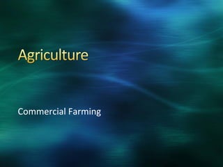 Commercial Farming
 