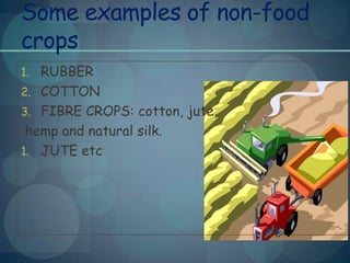 Non Risk Crops Examples Agriculture geography | PPTX