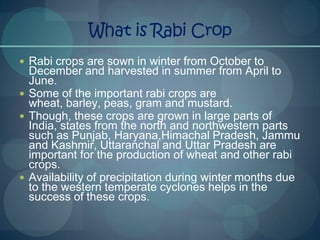 What is Rabi Crop
 Rabi crops are sown in winter from October to
  December and harvested in summer from April to
  June....