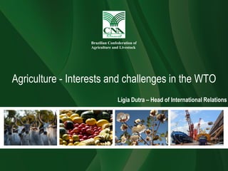 Agriculture - Interests and challenges in the WTO
Lígia Dutra – Head of International Relations
 
