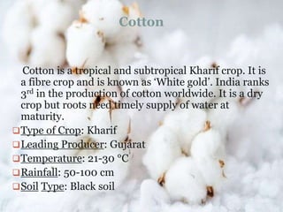 Cotton is a tropical and subtropical Kharif crop. It is
a fibre crop and is known as ‘White gold’. India ranks
3rd in the production of cotton worldwide. It is a dry
crop but roots need timely supply of water at
maturity.
Type of Crop: Kharif
Leading Producer: Gujarat
Temperature: 21-30 °C
Rainfall: 50-100 cm
Soil Type: Black soil
Cotton
 