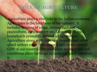 Agriculture plays a vital role in the Indian economy.
Agriculture is the backbone of our country. It
includes farming of crops, animal husbandry,
pisciculture, agro-forestry etc. Over 58% of rural
households primarily depend on agriculture.
Agriculture along with fisheries, forestry and other
allied sectors contribute around 14% to the overall
GDP of our country. The particular weather and soil
conditions allow for crops in India uniquely suited to
it.
ROLE OF AGRICULTURE
 