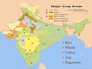  Rice
 Wheat
 Cotton
 Jute
 Sugarcane
 