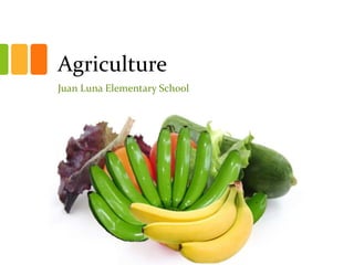 Agriculture
Juan Luna Elementary School
 