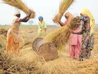 What's in it for South Asia's agriculture