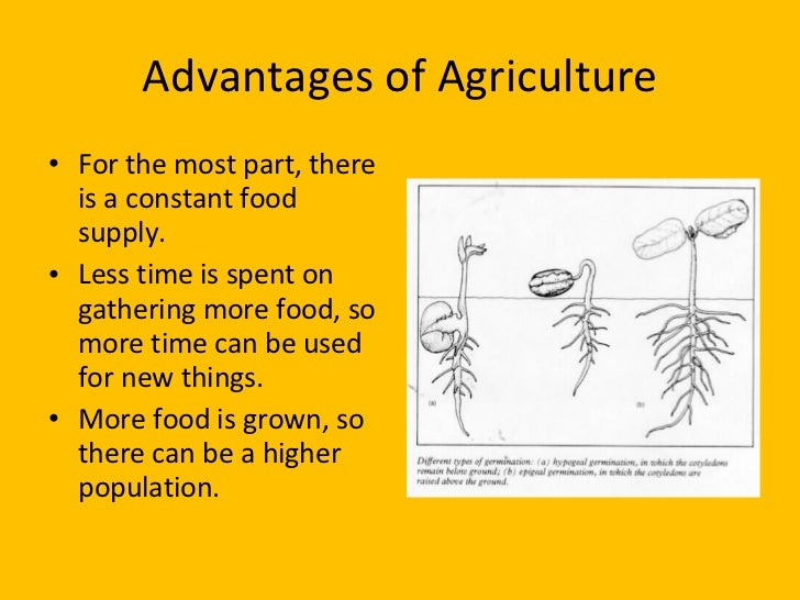 Agriculture Vs. Farming